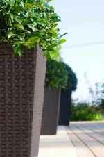 RATTAN PLANTER M MŰRATTAN VIRÁGLÁDA 55 - Image 2