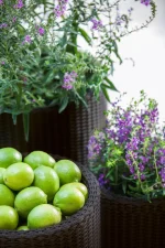 S+M+L CYLINDER PLANTERS MŰRATTAN KASPÓ SZETT - Image 2