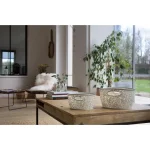 CURVER "VICTORIA" CSIPKE HATÁSÚ KOSÁR - KRÉM - Image 2