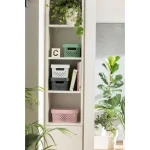 CURVER "INFINITY" KOSÁR 4,5L - ZÖLD - Image 6