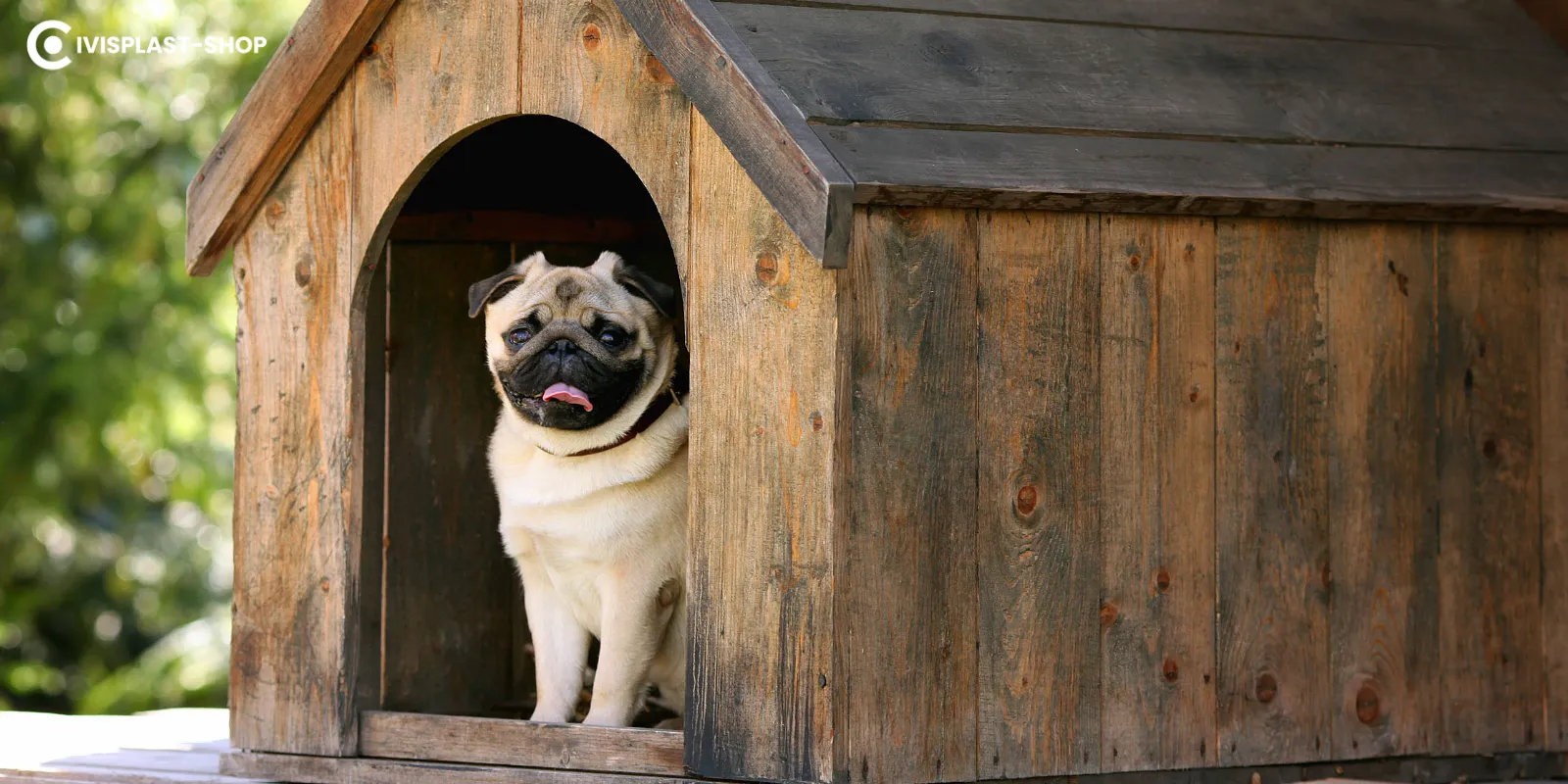 Kisállat a saját kerti házában