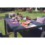 CORFU FIESTA MŰRATTAN KERTI BÚTOR SZETT ÉTKEZŐ ASZTALLAL - Image 4