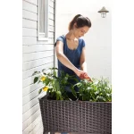 EASY GROW MŰRATTAN VIRÁGLÁDA 120L - Image 6