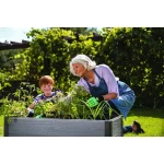 MAPLE MAGASÍTOTT VIRÁGÁGYÁS - Image 4