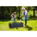 MAPLE MAGASÍTOTT VIRÁGÁGYÁS - Image 5