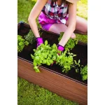 MAPLE MAGASÍTOTT VIRÁGÁGYÁS - Image 4