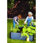 MAPLE SZÖGLETES VIRÁGÁGYÁS - Image 3