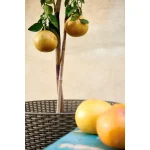 CONIC PLANTER MŰRATTAN VIRÁGLÁDA 56,5L - Image 3