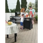 UNITY MŰANYAG KERTI GRILL ASZTAL 105L - Image 2