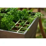 URBAN BLOOMER MŰANYAG VIRÁGLÁDA - Image 3