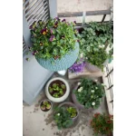 COZY S FELAKASZTHATÓ MŰANYAG KASPÓ - Image 4